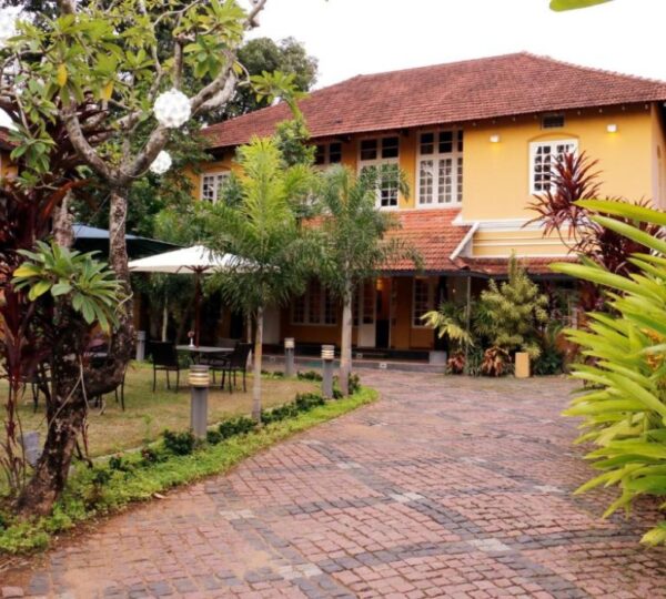 TEA BUNGALOW
