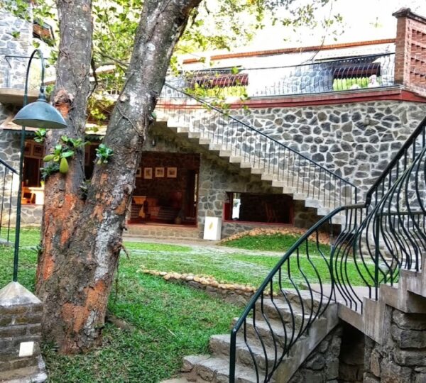 THE WILDERNEST
