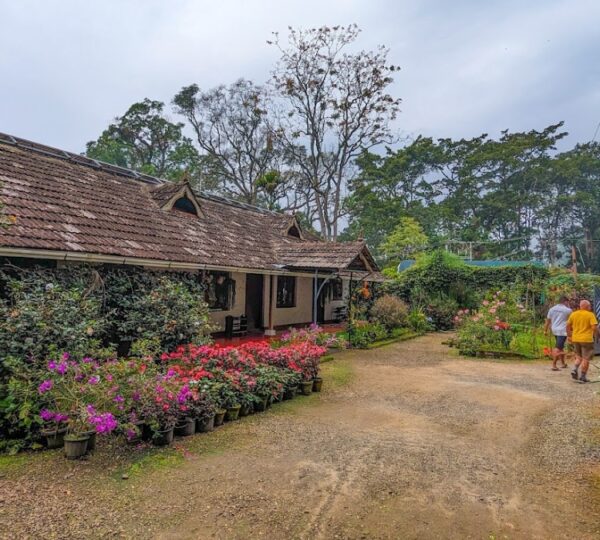 ROSEGARDENS HOMESTAY