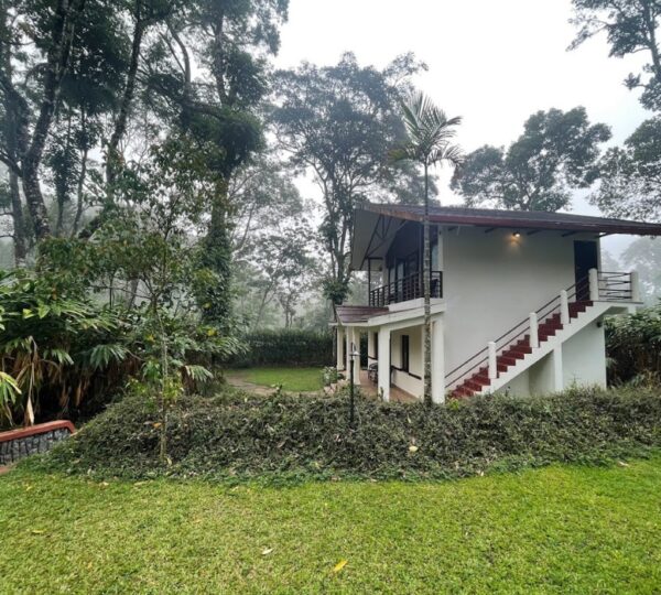 CARMELIA HAVEN