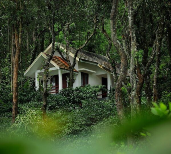 DHANAGIRI HOME STAY
