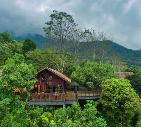 VYTHIRI MIST RESORT WAYANAD