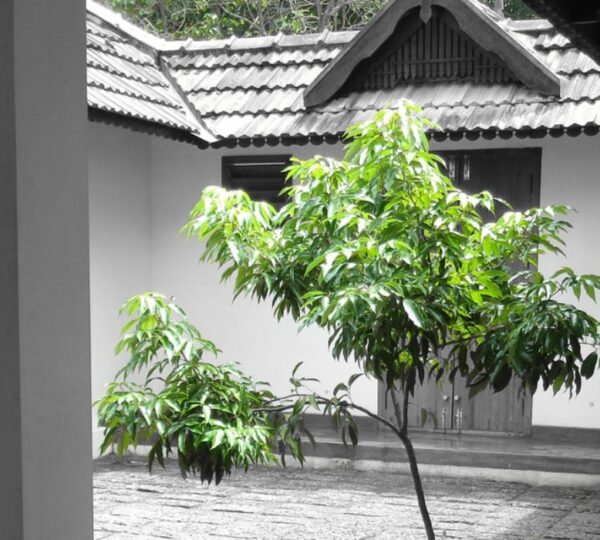 GREEN TSAVORITE SERVICES  PVT LTD