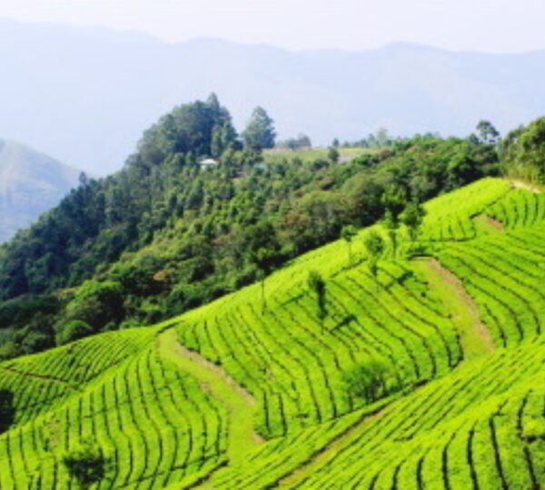 SANTOS KING TOURS & TRAVELS PVT LTD