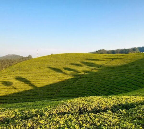 DISCOVER KERALA HOLIDAYS