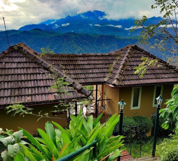 AFTER THE RAINS