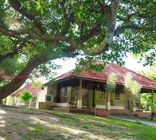 ISOLA DI COCCO AYURVEDIC  RESORT