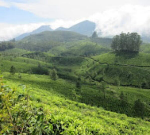 CLOUDS VALLEY LEISURE  HOTEL