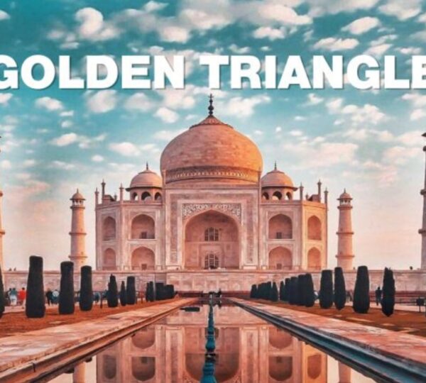 THE GREAT INDIA TOUR COMPANY PVT. LTD.