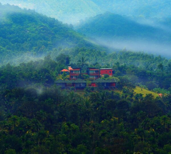 PETALS RESORT WAYANAD