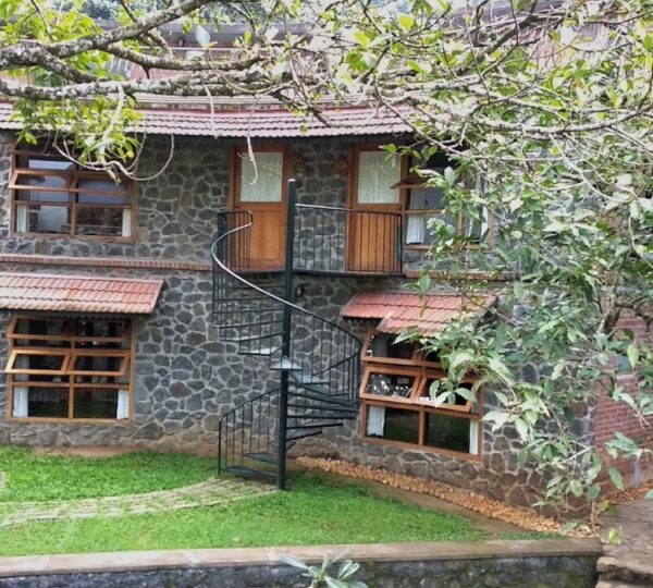 THE WILDERNEST
