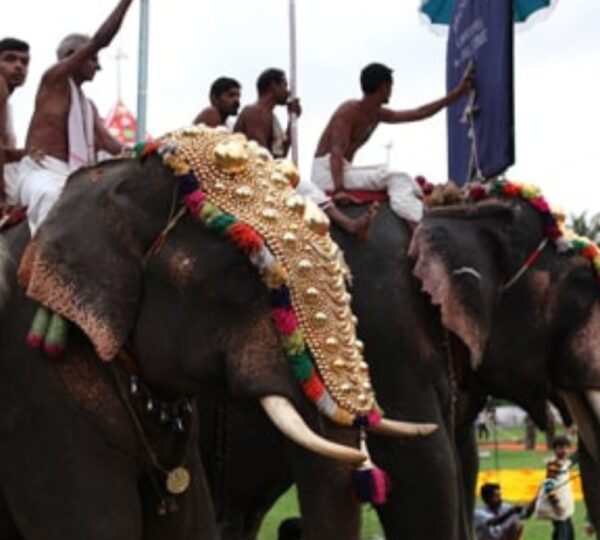 MAHARANI TRAILS PVT LTD