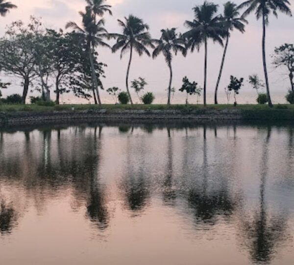 DISCOVER KERALA HOLIDAYS