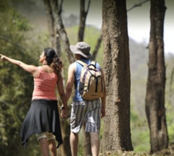 CLUB MAHINDRA THEKKADY