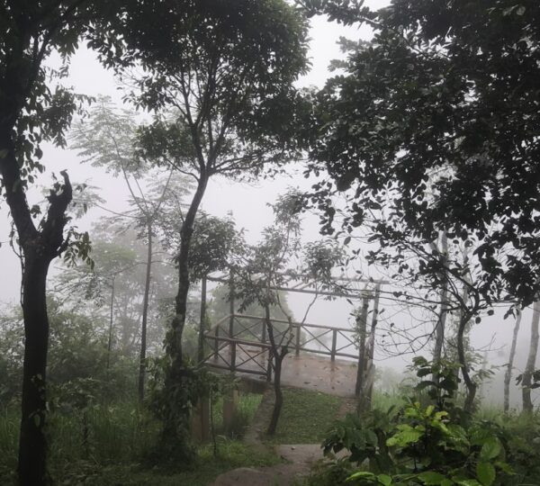 AFTER THE RAINS