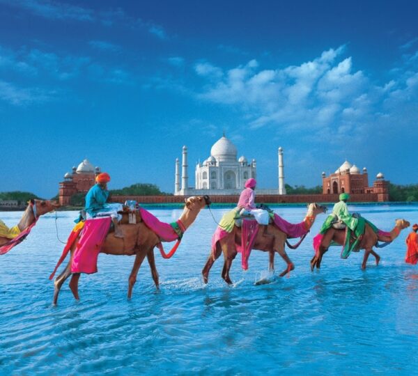 SANYOG GUPTA VOYAGES (SG VOYAGES)