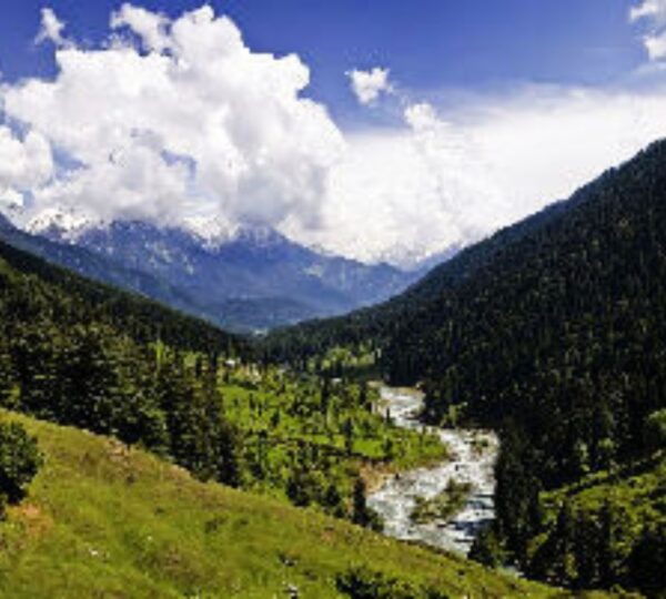 RAVEENDRA HOSPITALITY (P) LTD