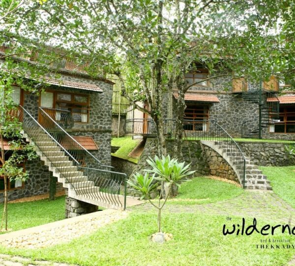 THE WILDERNEST