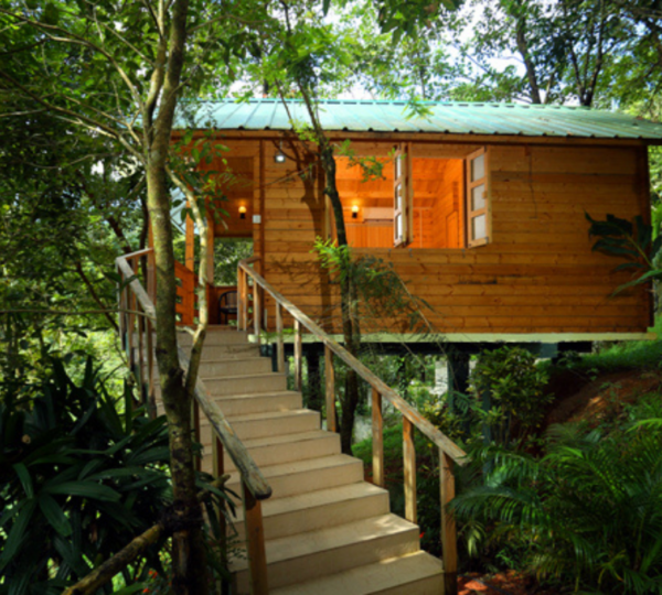 WAYANAD SILVER GREEN HOLIDAY ENCLAVES