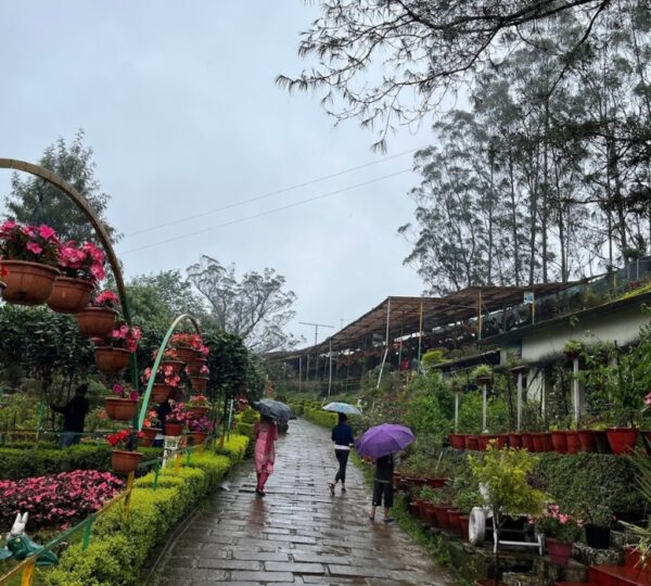 ROSEGARDENS HOMESTAY