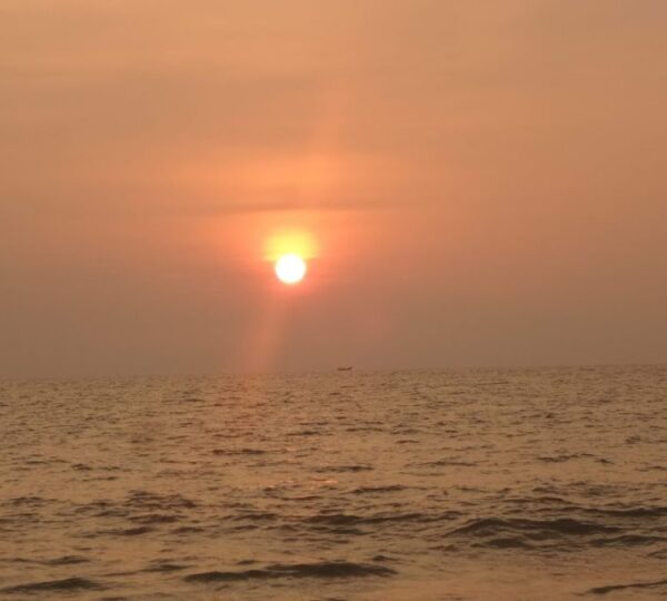 ALLEPPEY TOURISM DEVELOPMENT  CO-OPERATIVE SOCIETY LTD