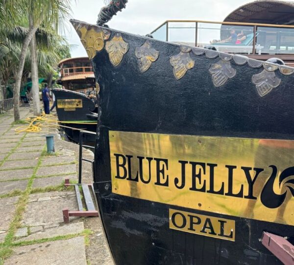 BLUE JELLY CRUISES &  RESORTS PVT LTD