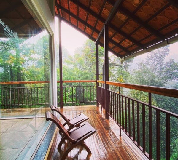 AFTER THE RAINS