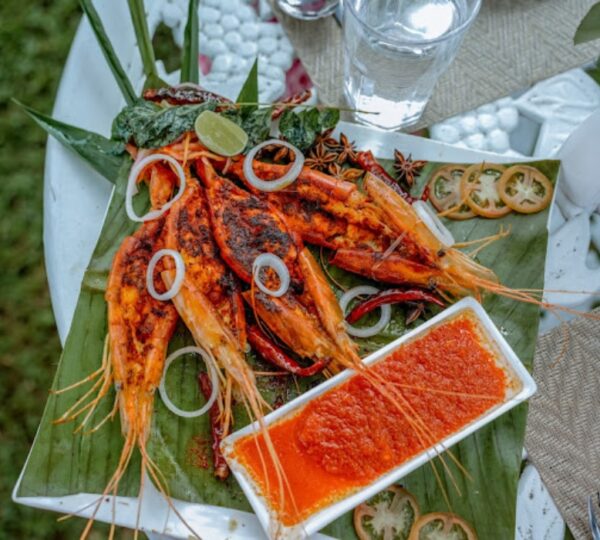 THE WORLD BACKWATERS (A UNIT OF ILONA HOSPITALITIES PVT LTD)