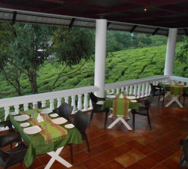 TEA HARVESTER
