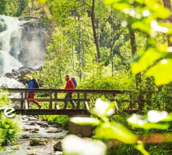 TBI (TRAIL BLAZER TOURS INDIA PVT LTD)