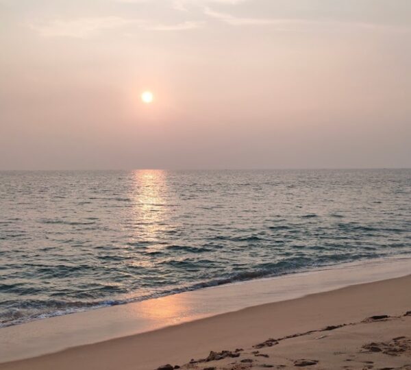 PRINCY WORLD TRAVEL PVT. LTD.