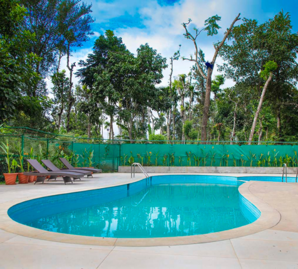 MYSTERY MAZE RESORT