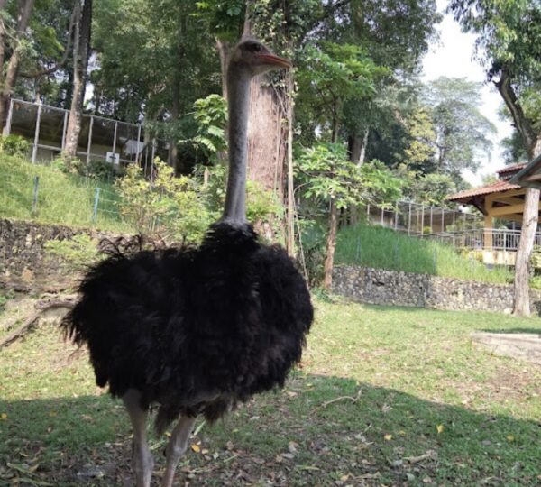 ALHIND TOURS & TRAVELS PVT LTD