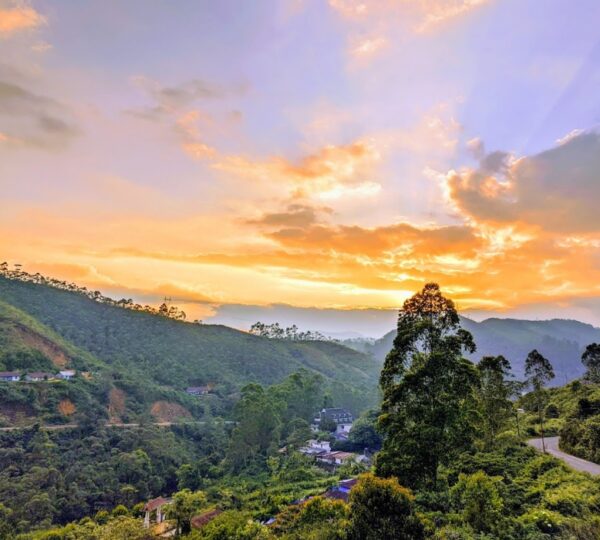 ELYSIUM GARDEN HILL  RESORTS