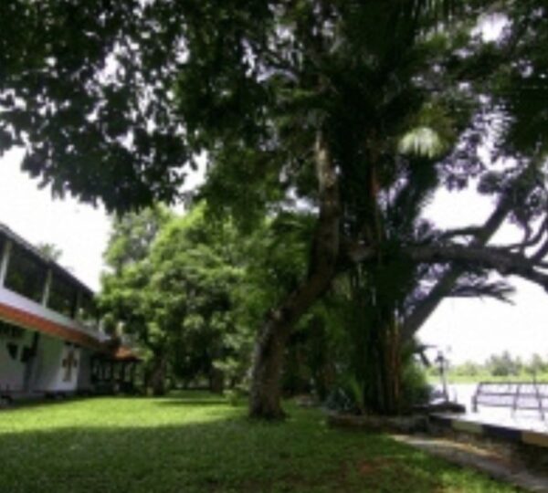 GREEN PALACE HEALTH RESORT