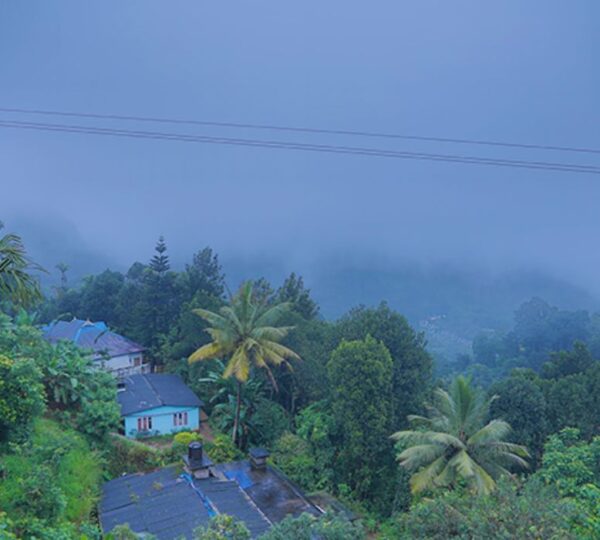 GREEN VALLEY VISTA