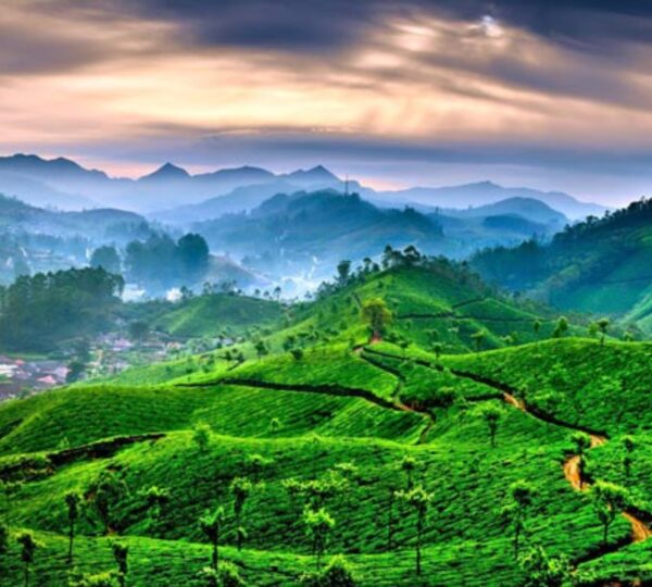 VOYAGES KERALA