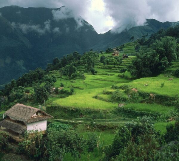 SANYOG GUPTA VOYAGES (SG VOYAGES)