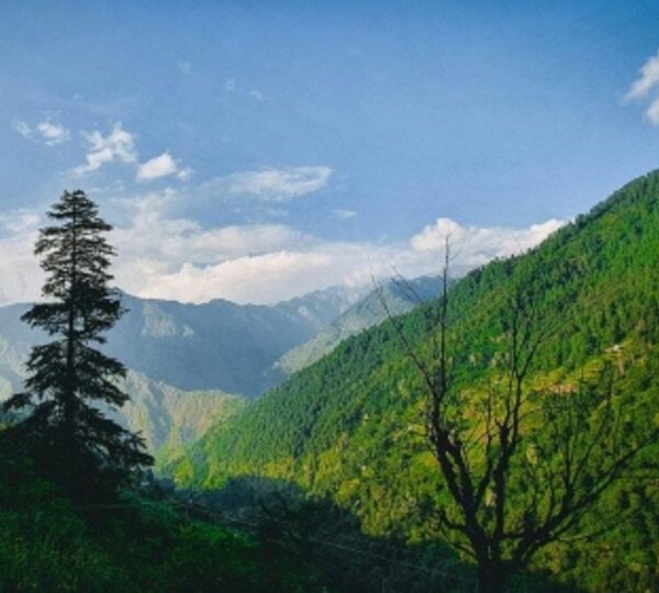 RAVEENDRA HOSPITALITY (P) LTD