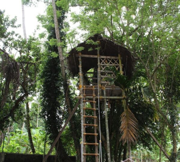NEELAMBARI ECO TOURISM