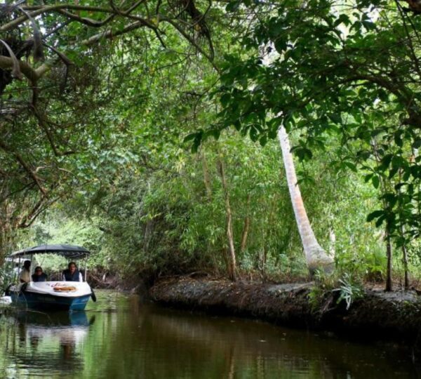 NIRAAMAYA RETREATS