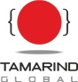 TAMARIND GLOBAL SERVICES PVT LTD