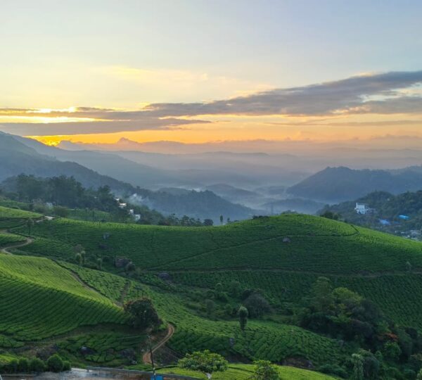 MISTY MOUNTAIN RESORT, MUNNAR