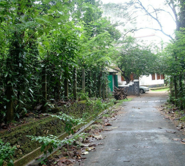 ESTATE BUNGALOW