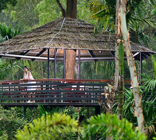 THE WOODS RESORTS